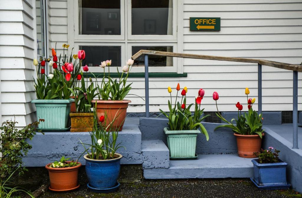 Rainforest Motel Glaciar Fox Exterior foto